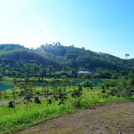 บ้านไร่ตะวันหวาน