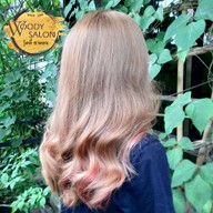 วู้ดดี้ ซาลอน