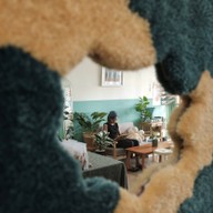 เบคอนอิสเดอะเบส (I KNOW CAFE')