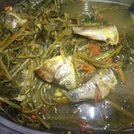 Anคุณจ๋าบ้านยาย