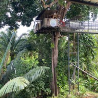 Tree Cups Phang Nga Coffee