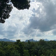 Tree Cups Phang Nga Coffee