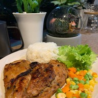 The Morning Taste Garden-Cafe Sakon Nakhon เดอะ มอร์นิ่ง เทตส์ การ์เด๊น คาเฟ่ สกลนคร สาขาสกลนคร1