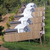 สตาร์ดอย คอฟฟี่ StarDoi Coffee