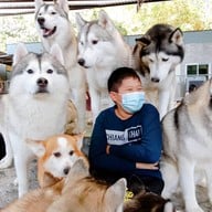 Sonata's siberian Cafe