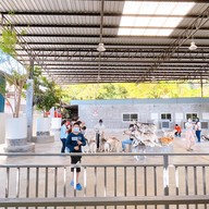 Sonata's siberian Cafe