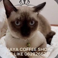 yaya coffee shop  (ญาญ่า กาแฟสด น้ำผลไม้สดปั่น) 1