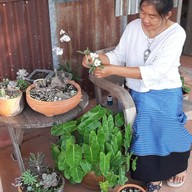 Freewill Natural Inspires