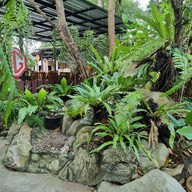 อัญชลีไทยฟู๊ดเรสเตอร์ลอง กระบี่