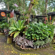 อัญชลีไทยฟู๊ดเรสเตอร์ลอง กระบี่