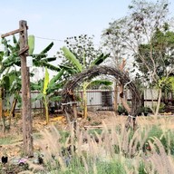 Freewill Natural Inspires