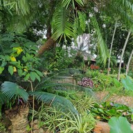 อัญชลีไทยฟู๊ดเรสเตอร์ลอง กระบี่