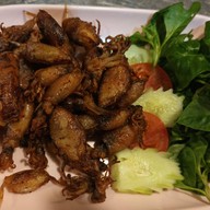 เมนูของร้าน ร้านข้าวต้มเจ้าสัวแก่งกระจาน