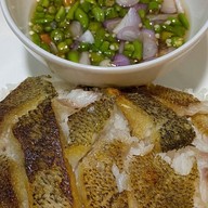 ข้าวปลาแกะ