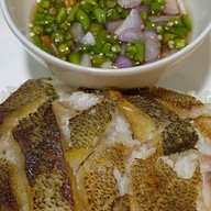 ข้าวปลาแกะ