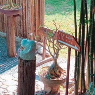 Bonsai Coffee House