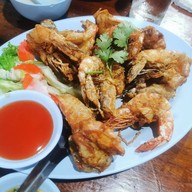 ดาวรุ่งทรายแดง