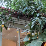 นัยสวน Coffee&Steak