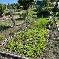 โคกคาเฟ่