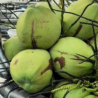 เมนูของร้าน Cocofin cafe