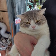 นุดแวะร้านเลาก่อน เลามี (กาแฟสด,ชานม,นมสด,ขนมปังปิ้ง,ครอฟเฟิล)