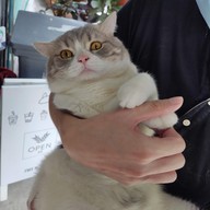 นุดแวะร้านเลาก่อน เลามี (กาแฟสด,ชานม,นมสด,ขนมปังปิ้ง,ครอฟเฟิล)