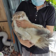 นุดแวะร้านเลาก่อน เลามี (กาแฟสด,ชานม,นมสด,ขนมปังปิ้ง,ครอฟเฟิล)