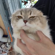 นุดแวะร้านเลาก่อน เลามี (กาแฟสด,ชานม,นมสด,ขนมปังปิ้ง,ครอฟเฟิล)