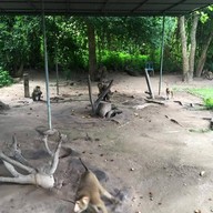 บรรยากาศ ศูนย์ฝึกลิง