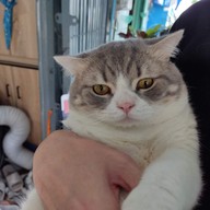 นุดแวะร้านเลาก่อน เลามี (กาแฟสด,ชานม,นมสด,ขนมปังปิ้ง,ครอฟเฟิล)