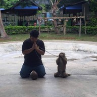 บรรยากาศ ศูนย์ฝึกลิง