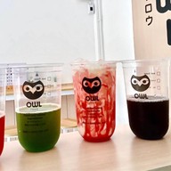 ชานมไข่มุก OWL CHA สาขา อ่อนนุช 46