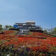 Flora Park