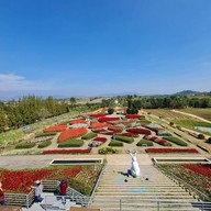 Flora Park