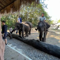 ปางช้างแม่ตะมาน