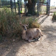 บรรยากาศ ภักดี ฟาร์ม