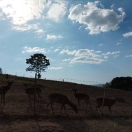 บรรยากาศ ภักดี ฟาร์ม