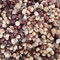 ตำแซ่บจารู by ชาชูเชะ พิกัดร้านตรงข้ามสนามกีฬาจารูใน