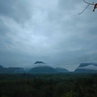 ควนนกเต้น