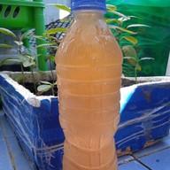 วัยรุ่นดูใบ&ลีนนอกลีนไทย