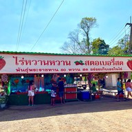 ไร่หวานหวาน