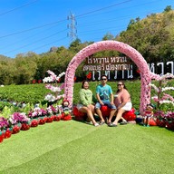 ไร่หวานหวาน