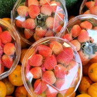 ทิพย์มงคล น้ำผลไม้สด บางใหญ่ซิตี้ 16