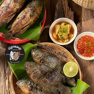 ปลาหมอเผา ณ เชียงใหม่