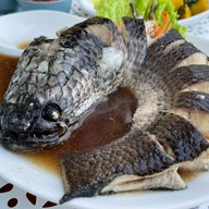 สวนคุณตุ๊กบางปลาม้า