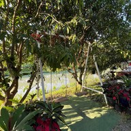 สวนคุณตุ๊กบางปลาม้า