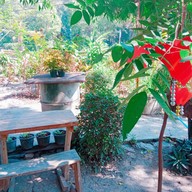 บรรยากาศ ก๋วยเตี๋ยวไก่บุฟเฟ่ต์ในสวนริมแม่น้ำน้อย