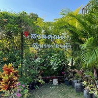 สวนคุณตุ๊กบางปลาม้า