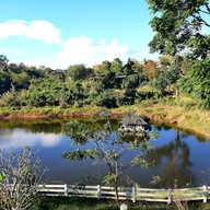 โอโซน ชมดาว