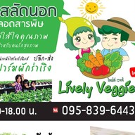 ผักสลัด สวน ไลฟ์ลี่ เวจจี้